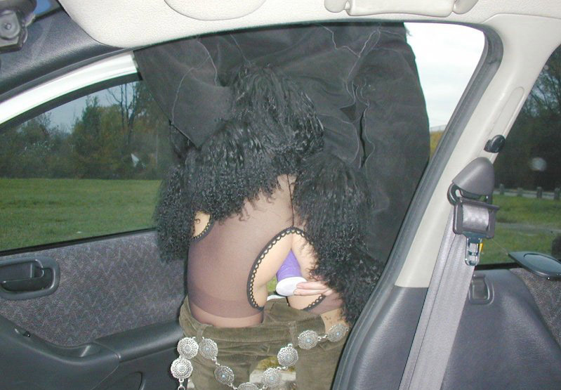 Жена в машине вводит в свою задницу секс-игрушку – фото 11