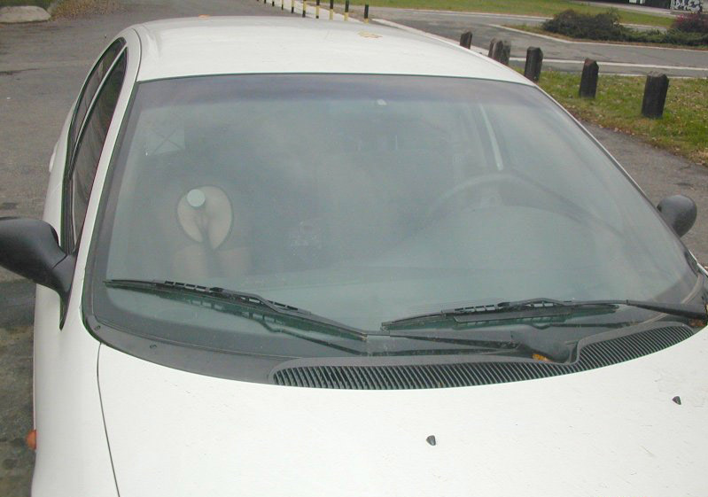 Жена в машине вводит в свою задницу секс-игрушку – фото 15